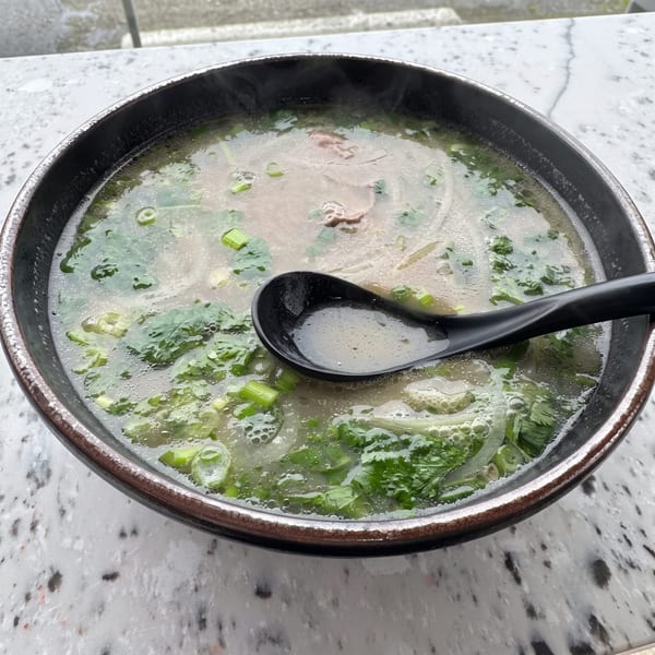 Steaming bowl of pho with beef, green onions, and cilantro, with a black spoon.